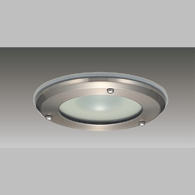 LEDEM30602HM || LED非常用照明器具 東芝 専用形 埋込HACCP中天