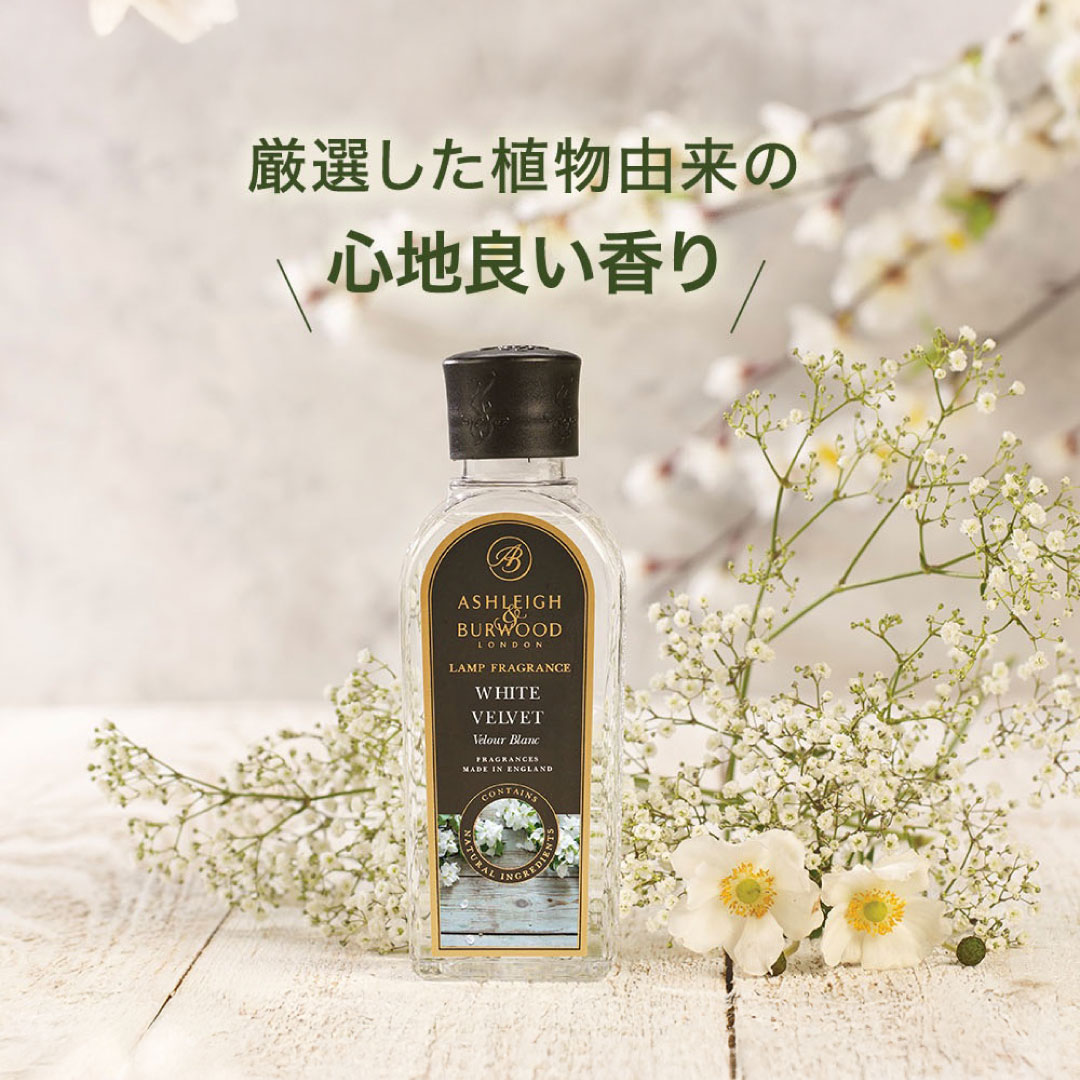 ランプフレグランス ホワイトティー 500ml [アシュレイ＆バーウッド