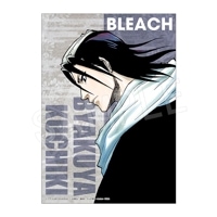 予約】BLEACH B3布ポスター 浦原 喜助 | は行,BLEACH | Chugaionline