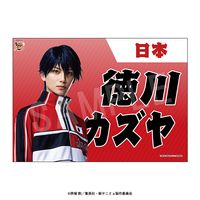 バラ売り可】種ケ島修二 毛利寿三郎 君島育斗 大曲竜次 アクリル