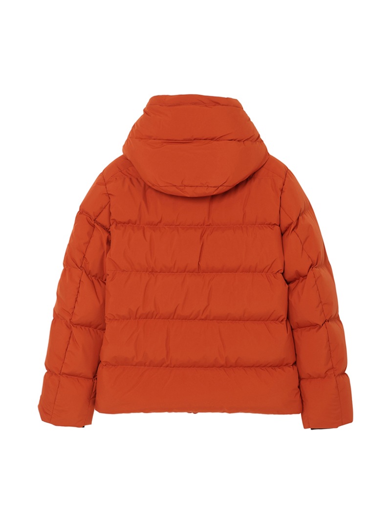 2_000000008762.jpg?1729819656