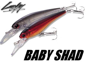 ラッキークラフト ベビーシャッド60SP（サスペンド）