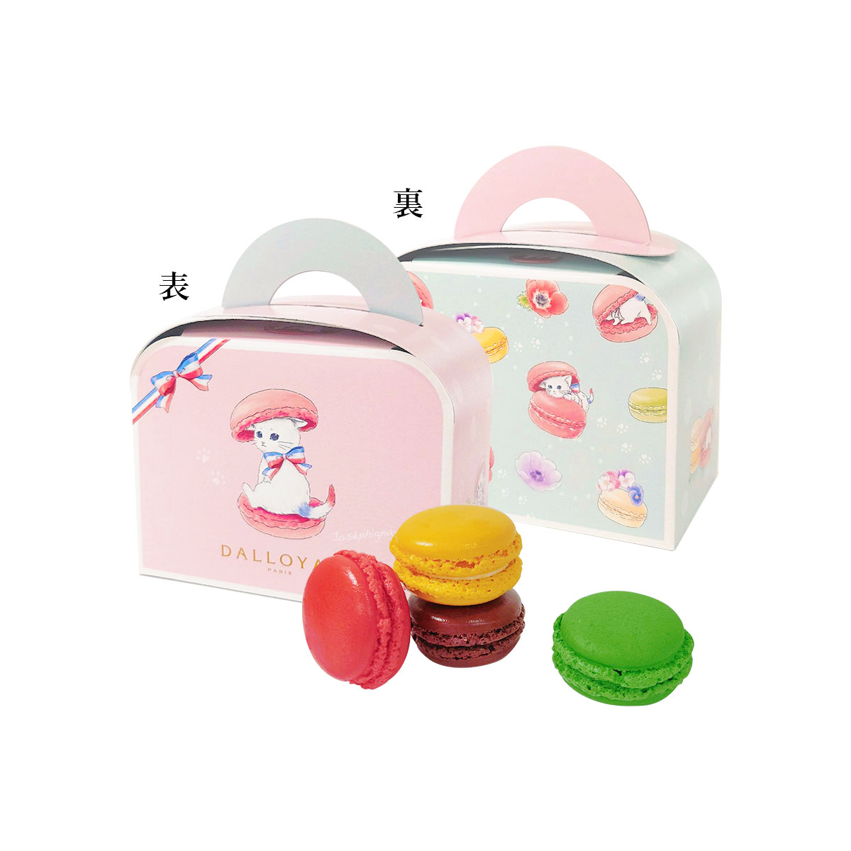 ニャカロン詰め合わせ（4個入） | すべての商品 - ダロワイヨ公式