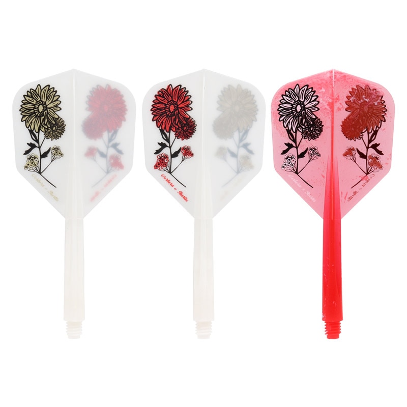 1_000000041284.jpg?1701401989