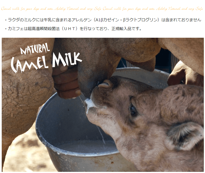 キャメルミルク（らくだのミルク）パウダー | 山羊ミルク・トッピング