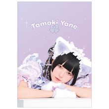 環やね生誕2025】ランダムステッカー - DSPM公式通販