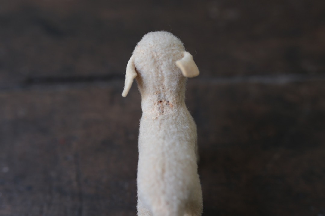 シュタイフ 羊の“ランビー” ｜ D+EMARKET Online