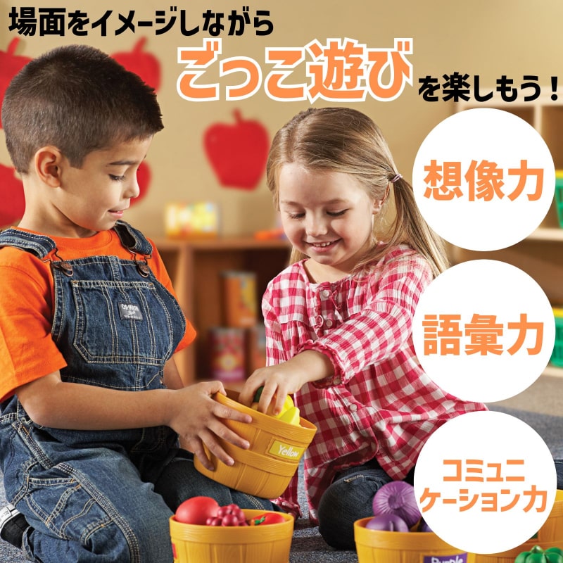 ままごと 野菜果物 カラーソーティングセット