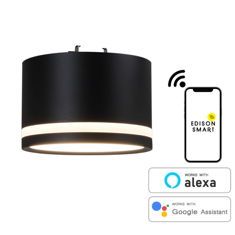 エジソンスマート TREO ミニシーリングライト 引掛けシーリング用