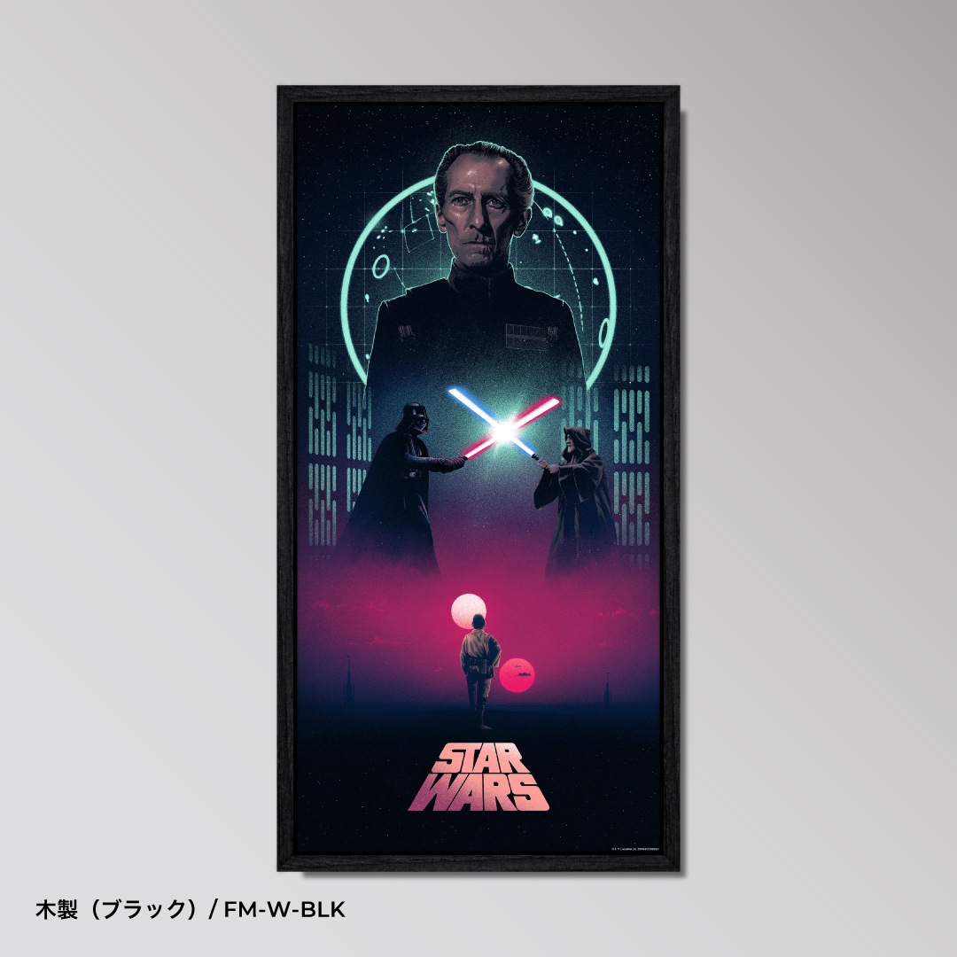 Star Wars Trilogy - Variant SET- 【スター・ウォーズ】 ｜アート