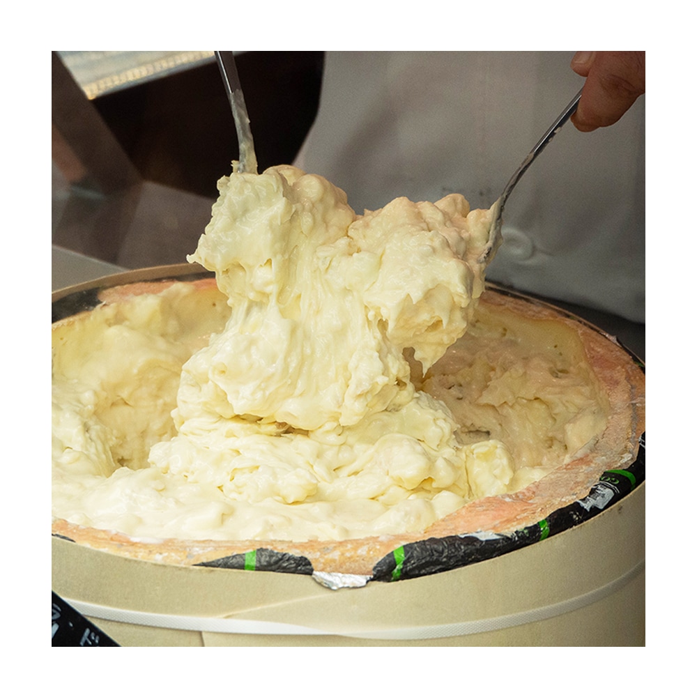 ゴンゾーラ・ドルチェ AC | Gorgonzola Dolce AC | FIOR DI MASO公式通販