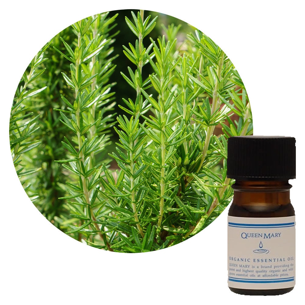 クイーンメリー】ローズマリー｜エッセンシャルオイル（精油・アロマ