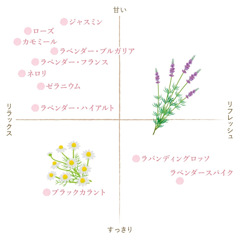 フレーバーライフ】カモマイル・ジャーマン／ブルー