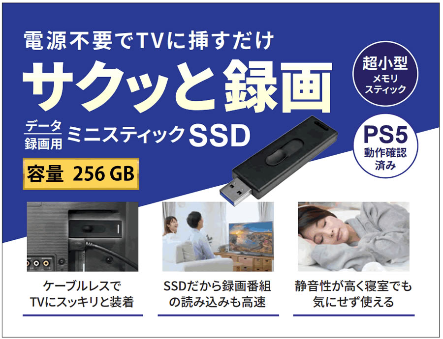 HIDISC USB3.2 Gen2対応データ/録画用 MiniStickポータブルSSD 256GB