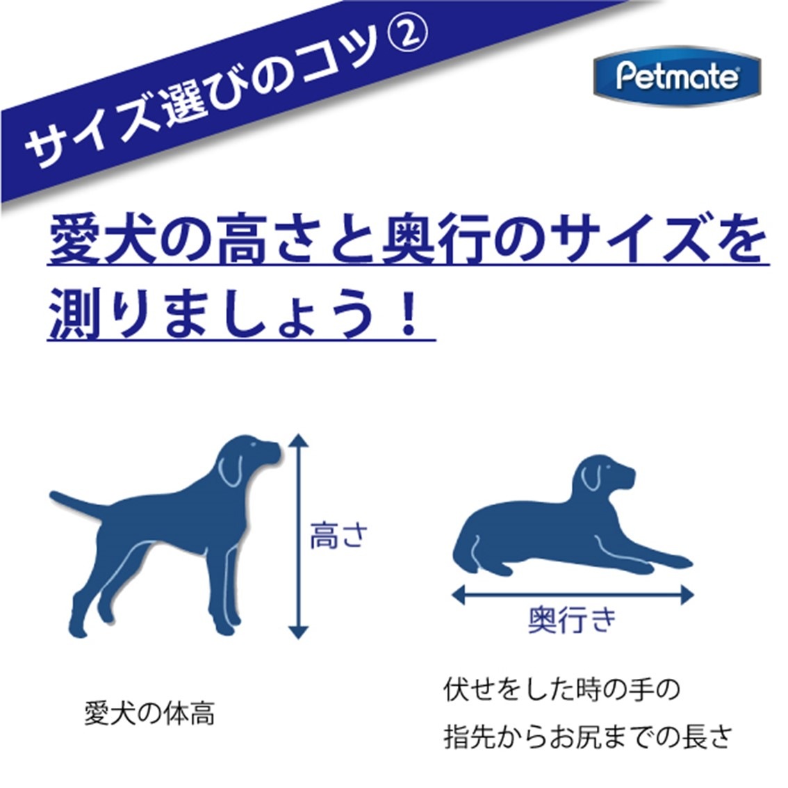 Petmate スカイケンネル XLサイズ | Dog,クレート・キャリー,大型犬用