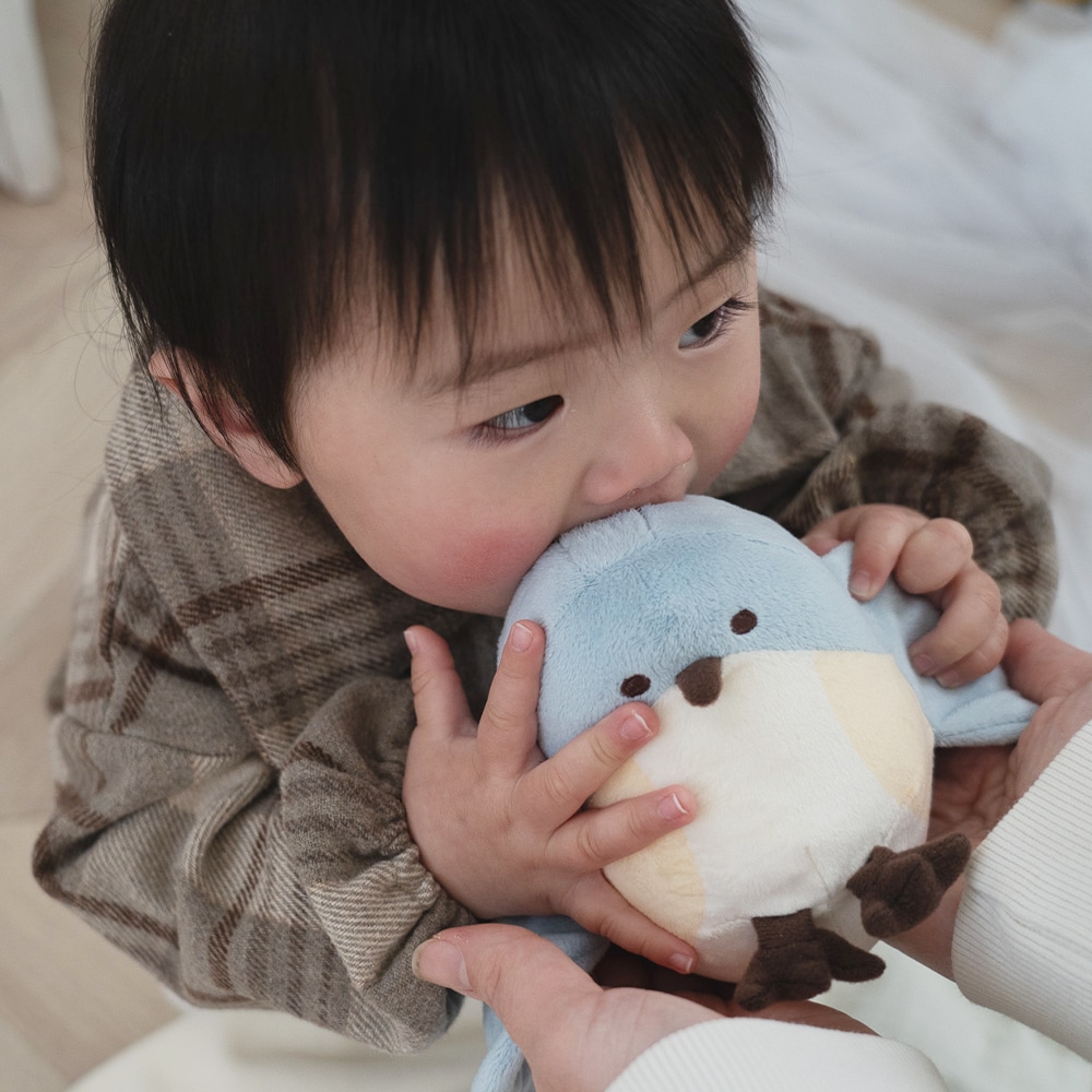 ぬいけっと ちいさな幸せ[cocory friends] | amanoppo | amanoppo