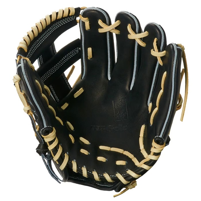 野球 ハイゴールド 硬式グローブ 内野手用 心極シリーズ HI-GOLD