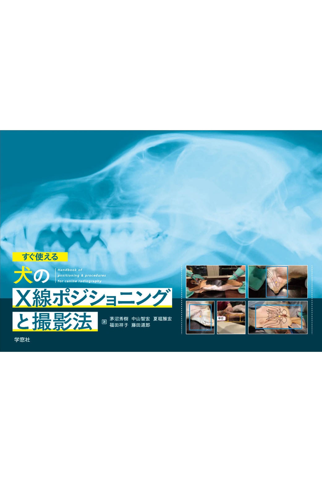 すぐ使える 犬のX線ポジショニングと撮影法 | 臨床獣医学,内科系