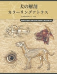 猫の解剖カラーリングアトラス | 基礎獣医学,解剖・組織学 | 株式会社