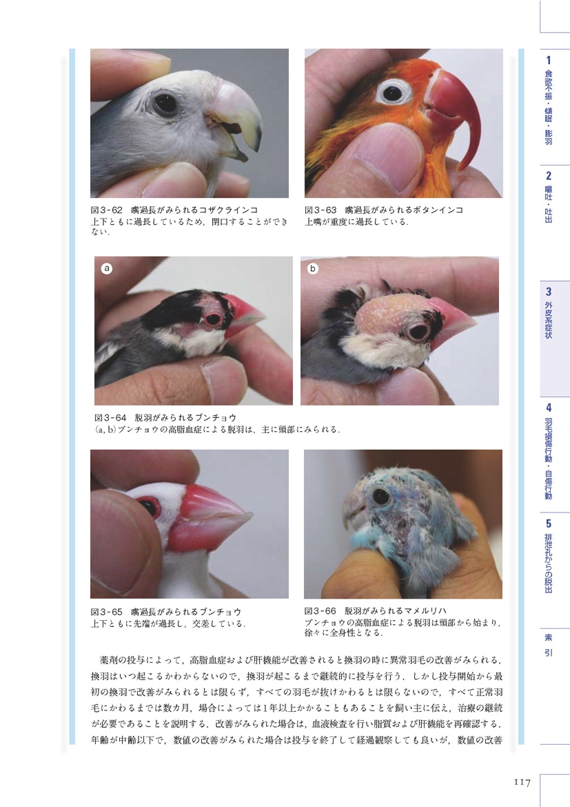 エキゾチック臨床シリーズ Vol.7 飼い鳥の鑑別診断と治療 Part 1