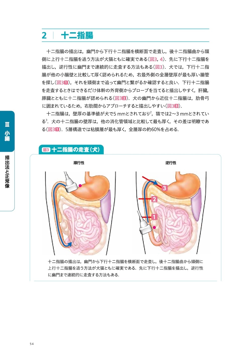 画像とシェーマで学ぶ犬と猫の超音波 Vol.2 腹部 上巻 | 臨床獣医学