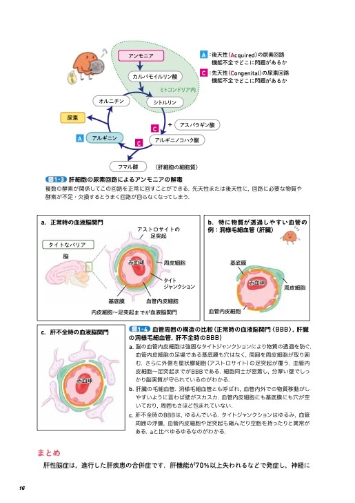 イラストでわかる！病気のしくみ 犬と猫の病態生理 | 臨床獣医学,内科