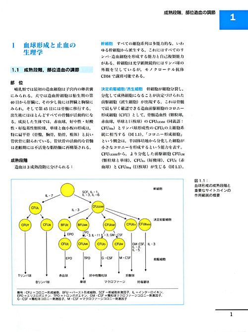 図でみる犬と猫の実践血液学 | 臨床獣医学,内科系 | 株式会社学窓社