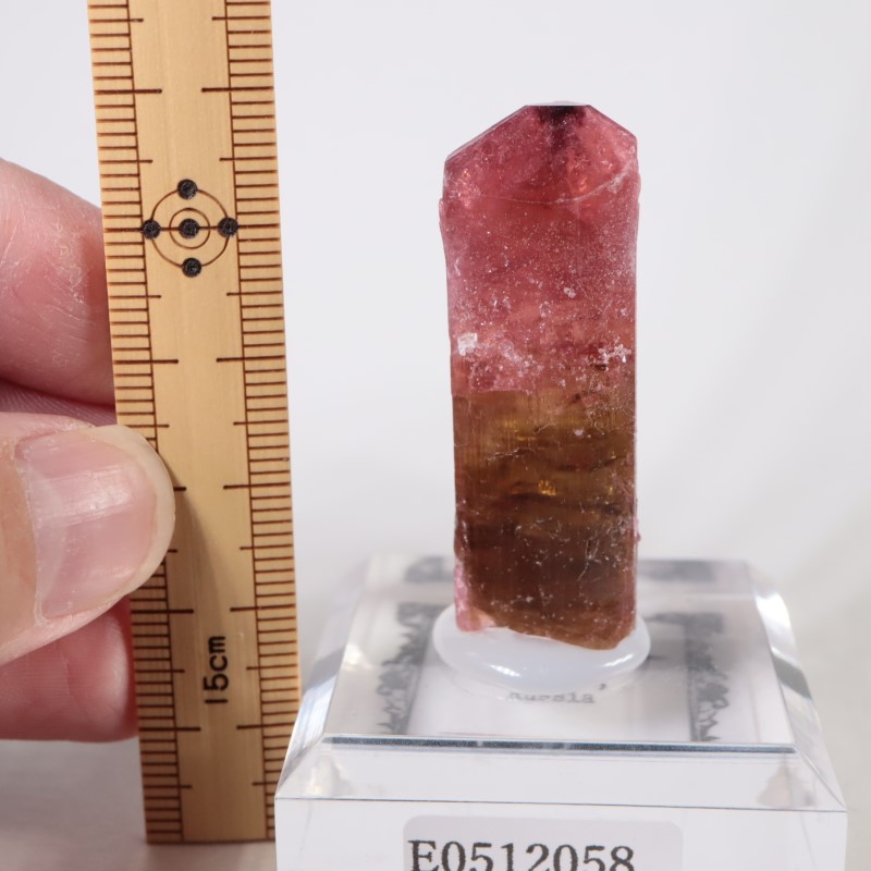 Malkhan産 ルベライトトルマリン | 鉱物標本,タ行,トルマリン/電気石