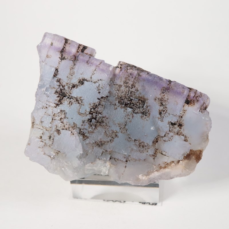 イリノイ州 フローライト、ビチューメン | 鉱物標本,ハ行,フローライト