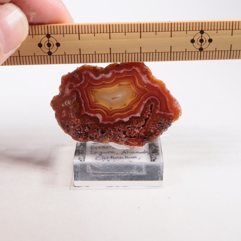 メキシコ産 ラグナアゲート | 鉱物標本,ア行,アゲート/瑪瑙 | ほたるみ