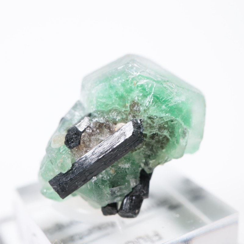 エロンゴ鉱山 フローライト | 鉱物標本,ハ行,フローライト/蛍石