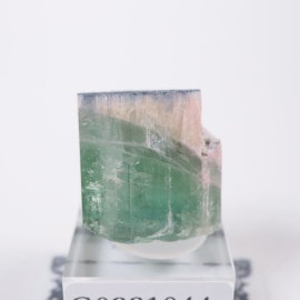 カナダ産 ジプサム（セレナイト） | 鉱物標本,サ行,ジプサム/石膏