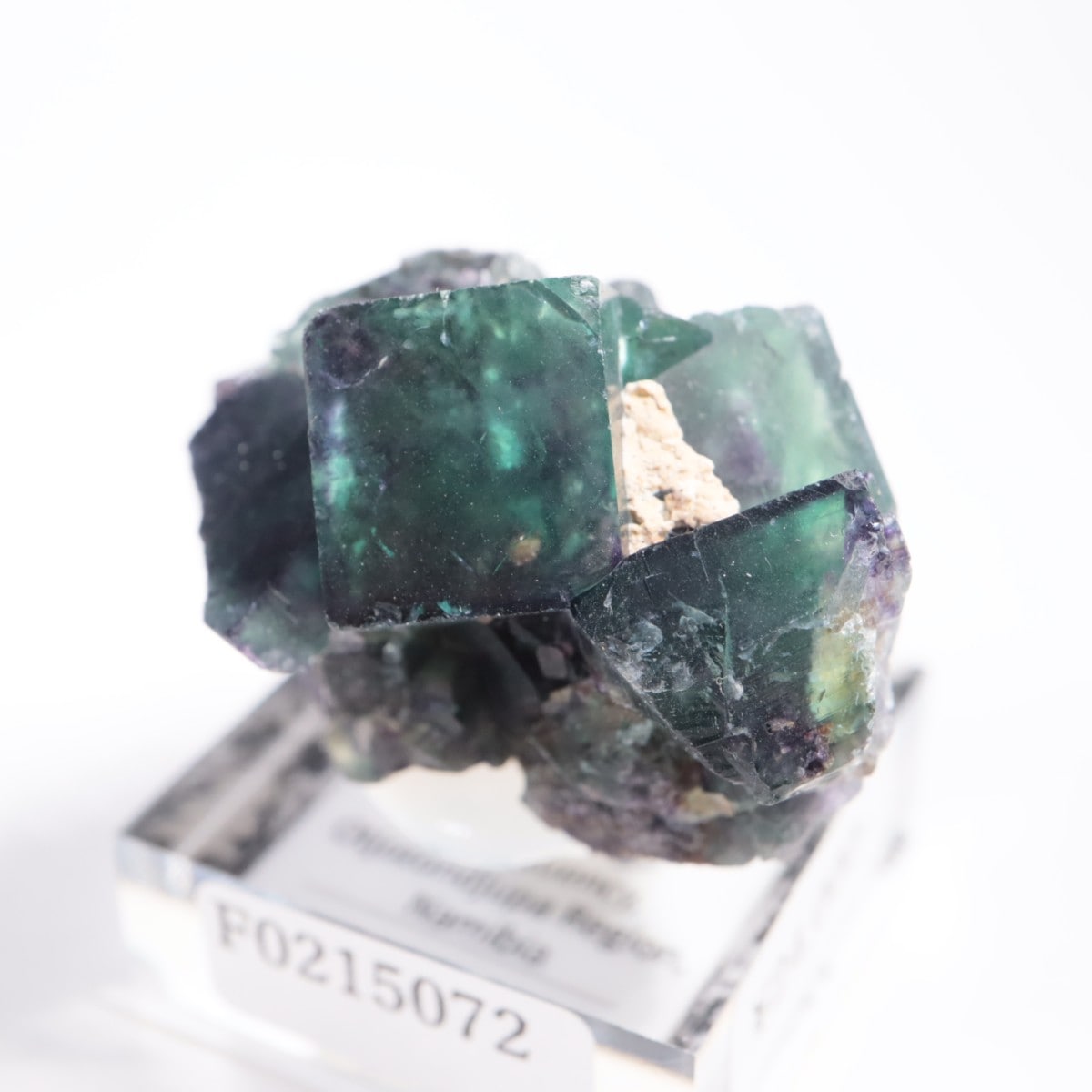 オコルス鉱山産 フローライト | 鉱物標本,ハ行,フローライト/蛍石