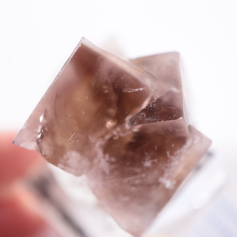 Sherry Twins Pocket フローライト | 鉱物標本,ハ行,フローライト/蛍石