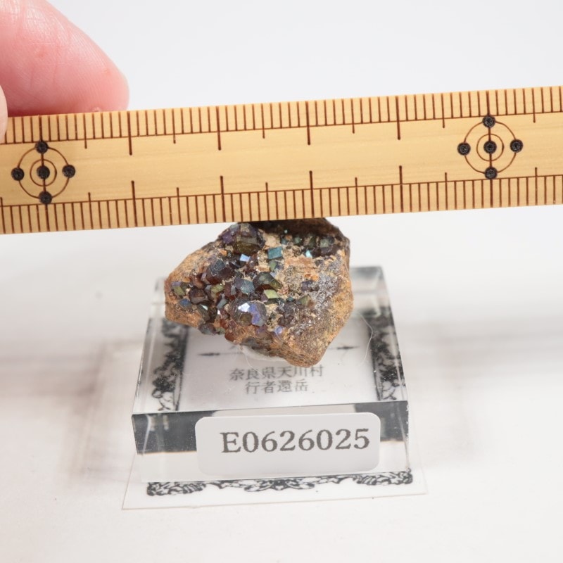 奈良県産 レインボーガーネット | 鉱物標本,カ行,ガーネットグループ