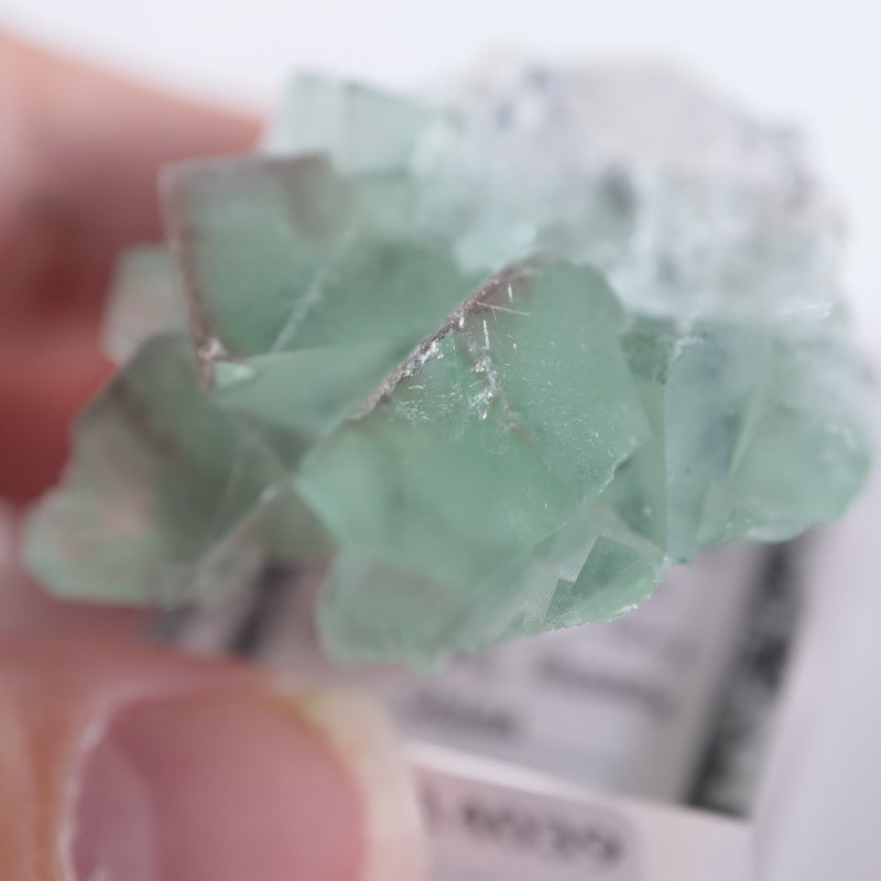 Xianghualing鉱山 蛍石 | 鉱物標本,ハ行,フローライト/蛍石,フロー