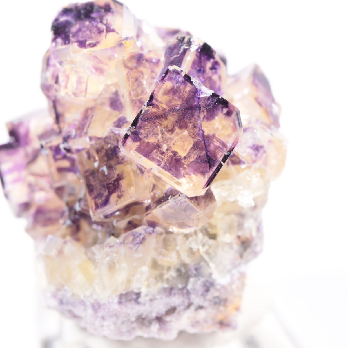 Purple Bunny Pocket産 フローライト | 鉱物標本,ハ行,フローライト/蛍