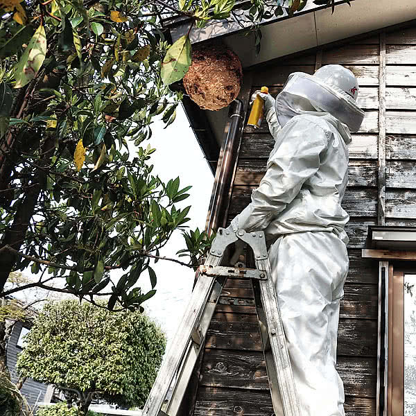 蜂防護服 ラプター3 V-1000 業務用 スタンダード 本体のみ スズメバチ