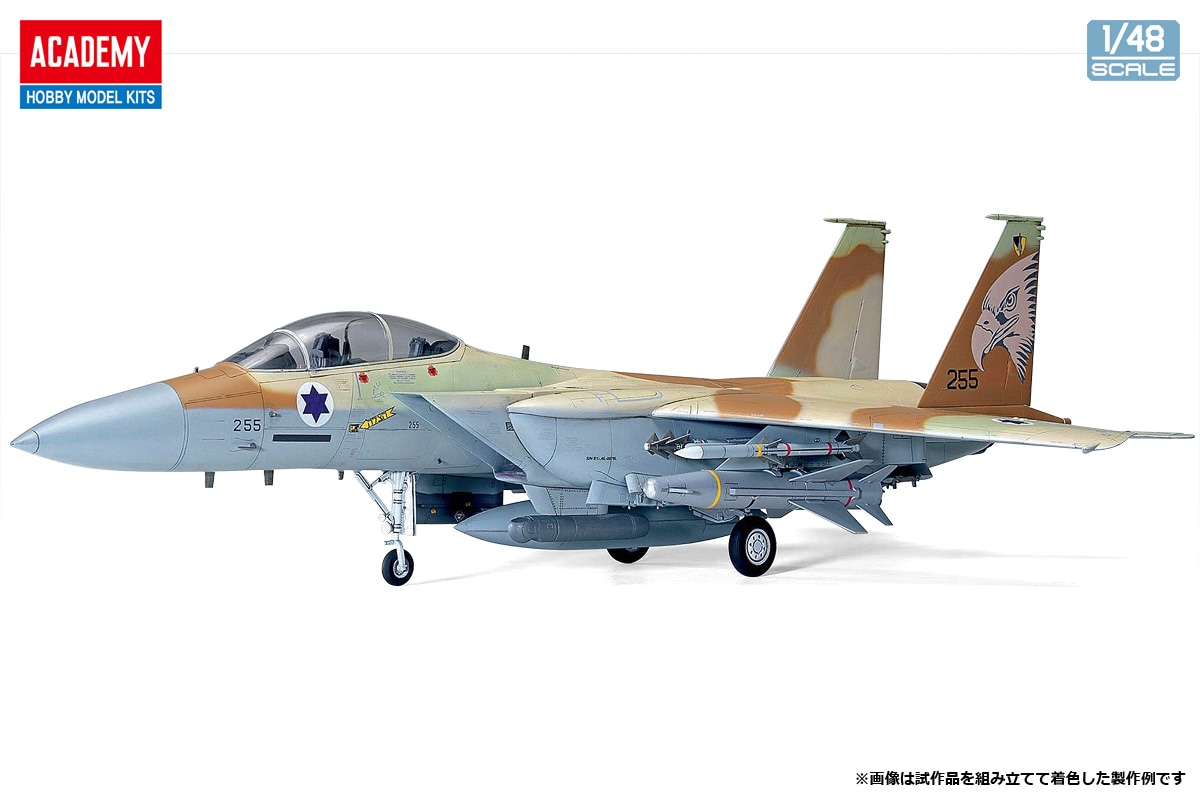 技MIX イスラエル空軍 F-15I AC036 技MIX イスラエル空軍 F-15I AC036