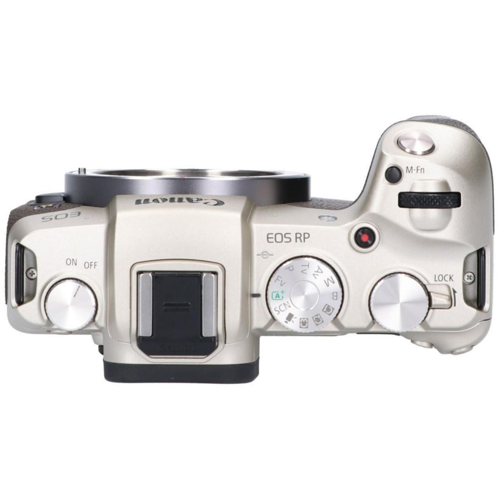 Canon キヤノン ミラーレス一眼 カメラ EOS RP ボディ ゴールド 希少
