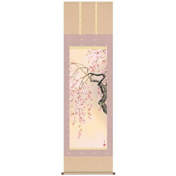 掛け軸 掛軸 桜 森山観月・桜花爛漫 尺五 花鳥画 春 桐箱 風鎮付き