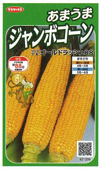 サカタのタネ スイートコーン種子 ゴールドラッシュ88【取り寄せ注文