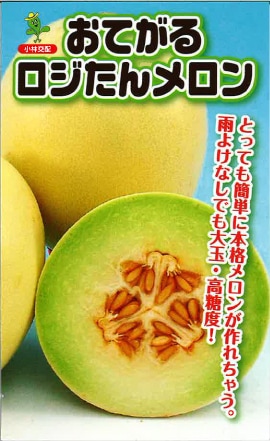 小林種苗 メロン種子 おてがるロジたん＊種子有効期限2026年10月末※低