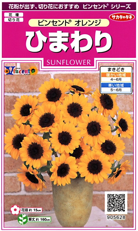 サカタのタネ 実咲350 ひまわり ビンセント オレンジ 小袋[905628