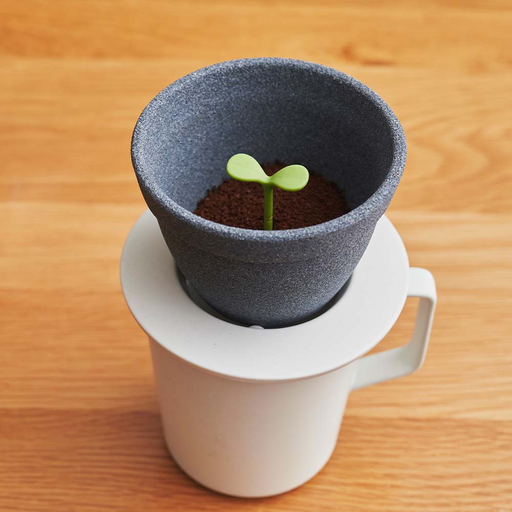 d｜キノメ | KONCENT Web shop｜アッシュコンセプト公式ショップ