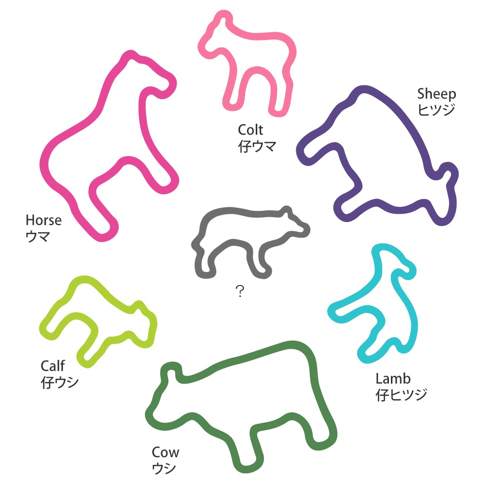 6_000000000114.jpg?1678209904