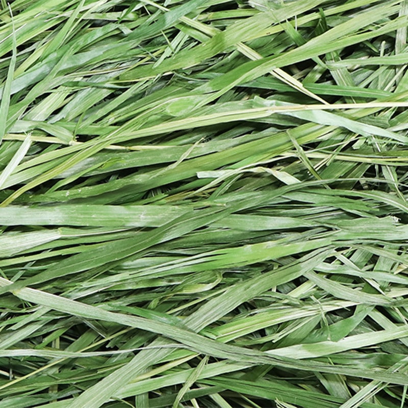 2025高原の朝採り牧草「4種みっくす」400g ※2025年10月17日発売 ※1週間