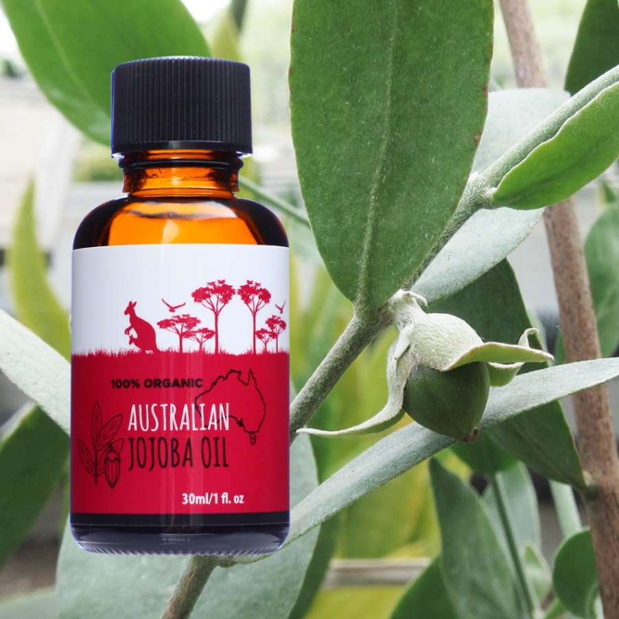 INNATUS オアシス ホホバオイル40ml ビューティーパック120ml INNATUS