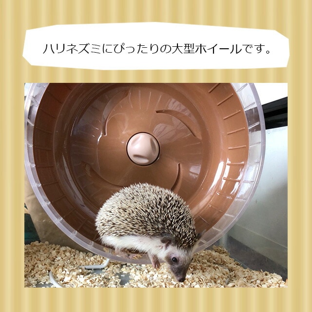 CASA 静音ホイール31 子どもでも使える！ハリネズミ用ホイール 回し車