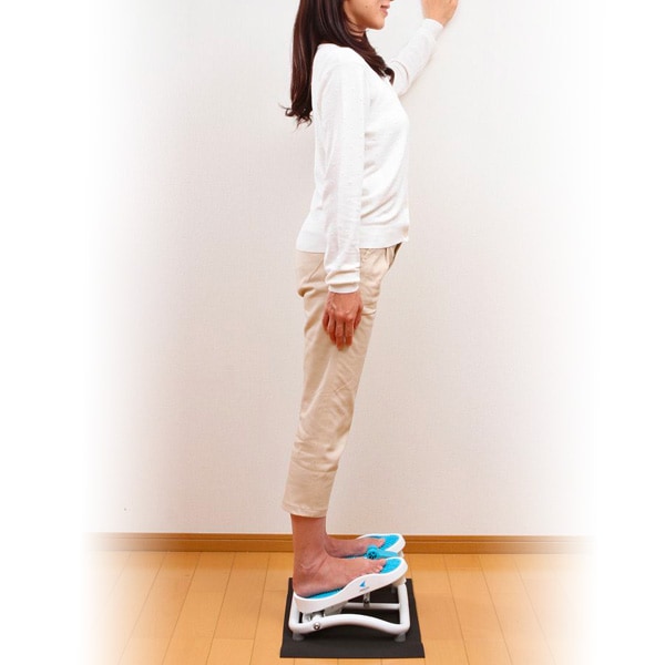 モーションナビ│DR-3830│エアロライフ公式ショップ